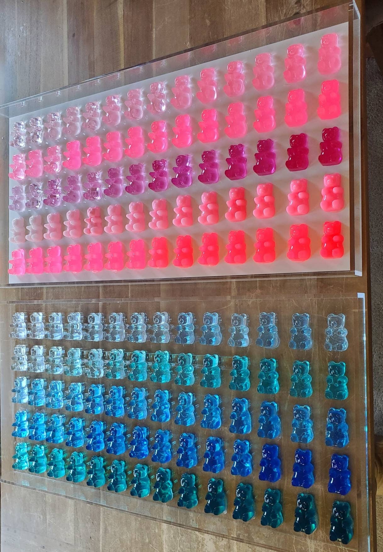 Candy Inspired Resin Bear Shadow Box Art: Modern Pop Sculpture