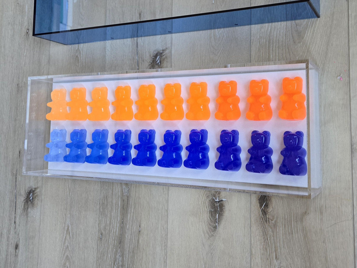 Resin Candy Bear Shadow Box Art: Whimsical Kids Room Decor (24x8x3 inch Frame Size)