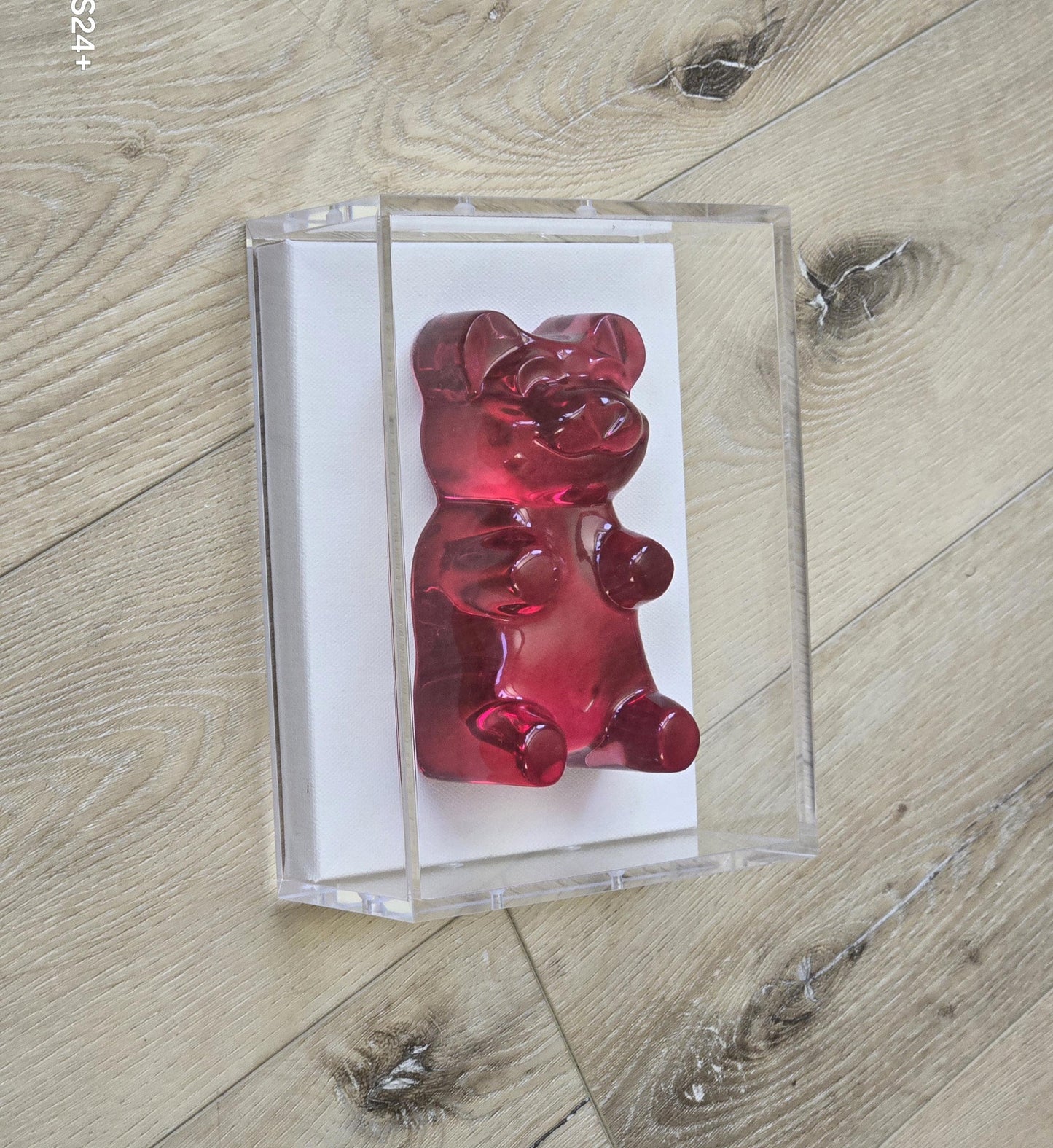 Gummy Bear Sculpture in Shadow Box | Transparent Jeweled Tone | Set Of Six-6 Inch Bear