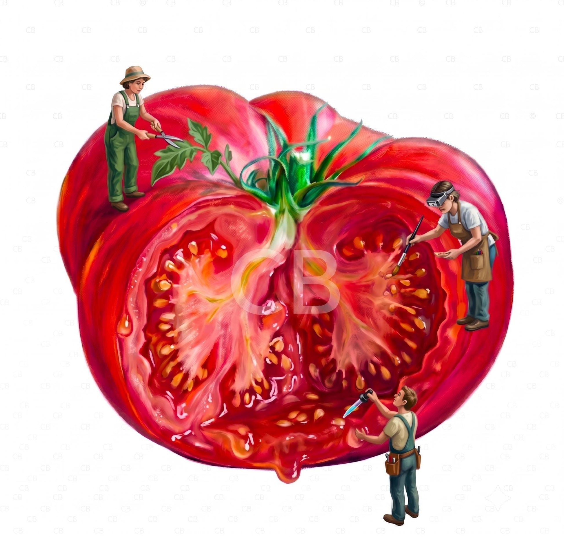 Whimsical Tomato Wall Art | Surreal Food Print with Miniature People | Quirky Kitchen & Restaurant Decor | Unique Foodie Gift