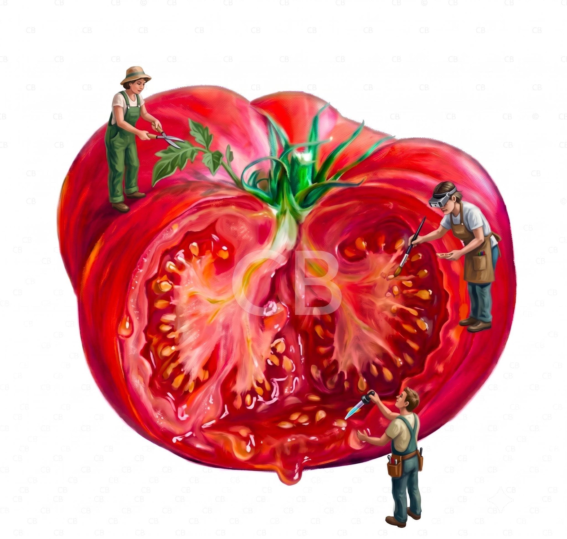 Whimsical Tomato Wall Art | Surreal Food Print with Miniature People | Quirky Kitchen & Restaurant Decor | Unique Foodie Gift