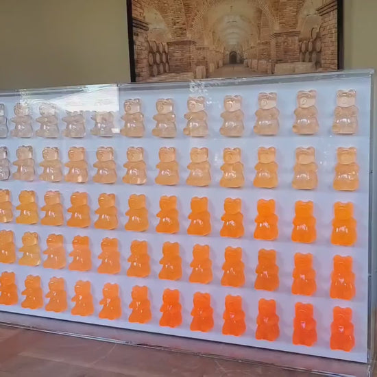 Giant Resin Gummy Bear Framed Wall Decor: 3D Pop Art Shadow Box Customize Art